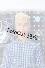 Barbie/Ken FASHIONISTAS 日本版 FNH39 ブルーチェック PREPPY CHECK/BJD　球体関節人形 A-25-06-25-548-YB-ZA