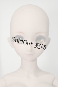 DDdy/ドリームチョイス DC-H-16ヘッド Y-23-12-13-045-YB-ZY