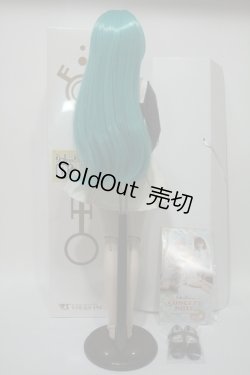 画像5: DDdy/D'COORD:DDH-09 Y-23-12-06-041-YB-ZY