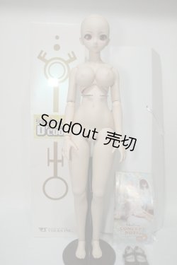 画像6: DDdy/D'COORD:DDH-09 Y-23-12-06-041-YB-ZY