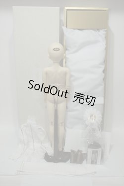 画像5: SDB/ワンオフ F-97(つきみ様メイク)フルセット Y-23-12-13-042-TN-ZY