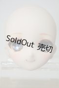 DD/DDH-10カスタムヘッド(meltingpot様) Y-23-12-20-002-YB-ZY