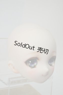 画像5: DD/DDH-10カスタムヘッド(meltingpot様) Y-23-12-20-002-YB-ZY