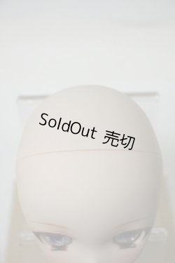 画像6: DD/DDH-10カスタムヘッド(meltingpot様) Y-23-12-20-002-YB-ZY