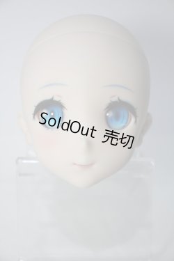 画像5: DDS/レム ヘッド+アイ(ボークス)+別ウィッグ Y-24-01-10-004-NY-ZY