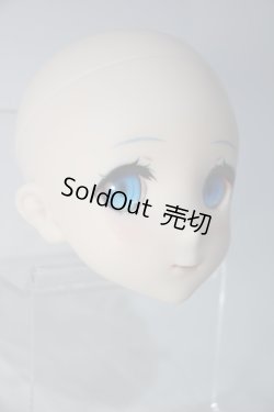 画像6: DDS/レム ヘッド+アイ(ボークス)+別ウィッグ Y-24-01-10-004-NY-ZY