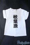 SD/Tシャツ 秋葉原(ボークス) Y-25-03-12-064-YB-ZY