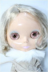 ネオブライス/エクセレントハリウッド本体+衣装/ A-25-02-05-309-NY-ZA
