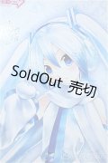 DD/雪ミク Y-24-12-18-339-YB-ZY