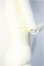 画像7: DOLL ZONE/Moment-Ji  Y-24-10-30-216-NY-ZY