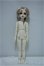 画像4: Gem of doll/Toby,Oolong tea Y-24-06-12-147-YD-ZY