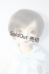 SDM/スタンダード ダイ Y-24-10-30-220-YB-ZY