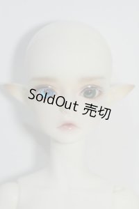 WITH DOLL/Egon The Elf Knight Girl Body Y-24-05-08-052-YB-ZY