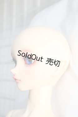 画像3: SD/フルチョイス:SD-F-100ヘッド Y-24-04-24-001-YB-ZY