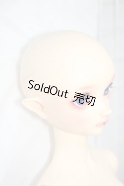 画像4: SD/フルチョイス:SD-F-100ヘッド Y-24-04-24-001-YB-ZY