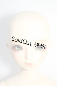 SDM/まこ本体 Y-24-05-08-003-YB-ZY