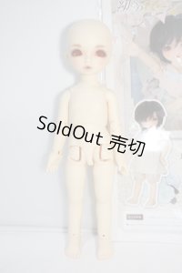 幼SD/ダイ本体 Y-24-05-08-004-YB-ZY