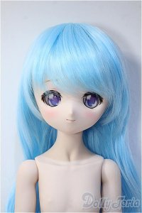 MDD/DDH-01 D'CORD Y-24-12-25-264-TN-ZY