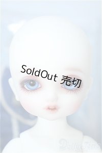幼SD/L'oiseau bleu 青い鳥(ロワゾブル) Y-24-05-29-001-YB-ZY