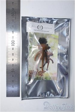 画像2: フォーチュンワンダ/デメ・ディオニージア Deme Dionisia Y-24-12-25-246-YB-ZY