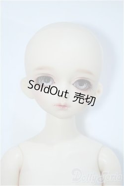 画像6: SDM/F-39：フルチョイス Y-24-06-19-178-YD-ZY