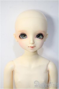 SDM女の子/F-39:フルチョイス Y-25-01-15-236-YD-ZY