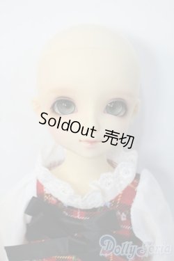 画像6: SDM女の子/F-39:フルチョイス Y-25-01-15-236-YD-ZY