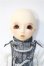 画像6: SDM男の子/フルチョイスF-43 Y-25-01-15-238-YD-ZY