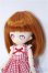 画像3: parabox/ヒカリ彩色ヘッド＆オビツ11ボディ Y-24-12-25-255-YD-ZY