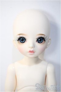 XAGADOLL/MItata Y-24-12-25-270-NY-ZY