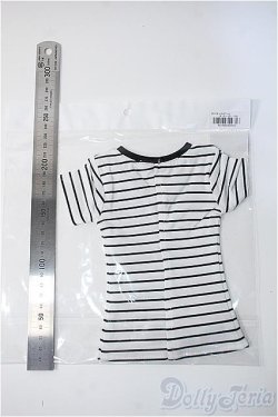 画像2: SD16G/OF:Tシャツ Y-24-12-11-167-YD-ZY