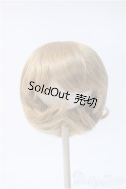 画像1: 【新品】10〜11inchウィッグ Y-25-01-22-196-TN-ZY