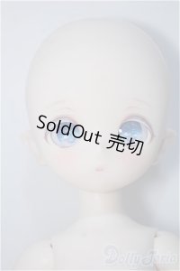 puyoodoll/KUMAKO RURU  Y-24-07-31-059-YD-ZY