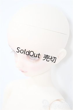 画像3: SDMG/F-62：コーディネートモデル Y-24-08-28-240-YD-ZY