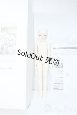 画像4: SDMG/F-62：コーディネートモデル Y-24-08-28-240-YD-ZY