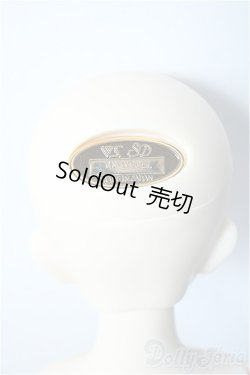 画像6: SDMG/F-62：コーディネートモデル Y-24-08-28-240-YD-ZY