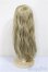 画像2: 8-9inch/ウィッグ/インチ　BJD　MJD　ドール用 A-25-08-13-354-TN-ZA (2)