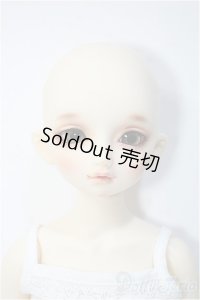 SDM/スタンダードのあ Y-24-10-09-234-TN-ZY