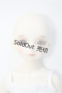 画像1: SDM/スタンダードのあ Y-24-10-09-234-TN-ZY