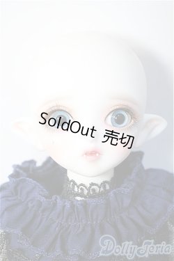 画像6: PEAKS WOODS/FOB V・Lady Bee Y-24-10-23-240-TN-ZY