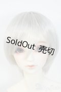 SDGrB/フルチョイス Y-25-06-11-234-TN-ZY
