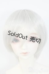 SDGrB/フルチョイス Y-25-06-11-234-TN-ZY