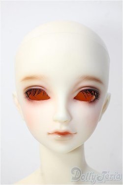 画像1: SDGrB/フルチョイス Y-25-02-26-125-TN-ZY
