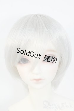 画像1: SDGrB/フルチョイス Y-25-06-11-234-TN-ZY