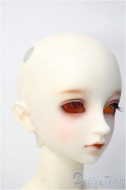 画像2: SDGrB/フルチョイス Y-25-02-26-125-TN-ZY