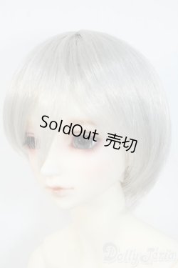 画像3: SDGrB/フルチョイス Y-25-06-11-234-TN-ZY