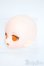 画像3: imomodoll/カスタムメイクヘッド Y-25-05-21-204-YD-ZY (3)