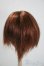 画像2: 7-8inch/ウィッグ U-25-05-20-080-YD-ZU (2)