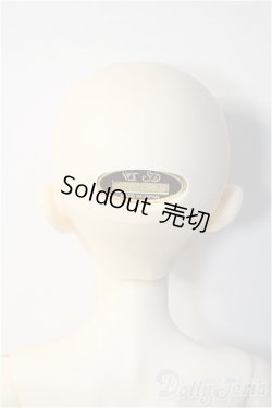 画像8: SD/ミシェル星間学寮ver. Y-25-06-11-238-YD-ZY