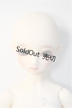 画像6: SD/スタンダードモデル：ニコ Y-24-11-27-292-YD-ZY